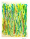 Meadow